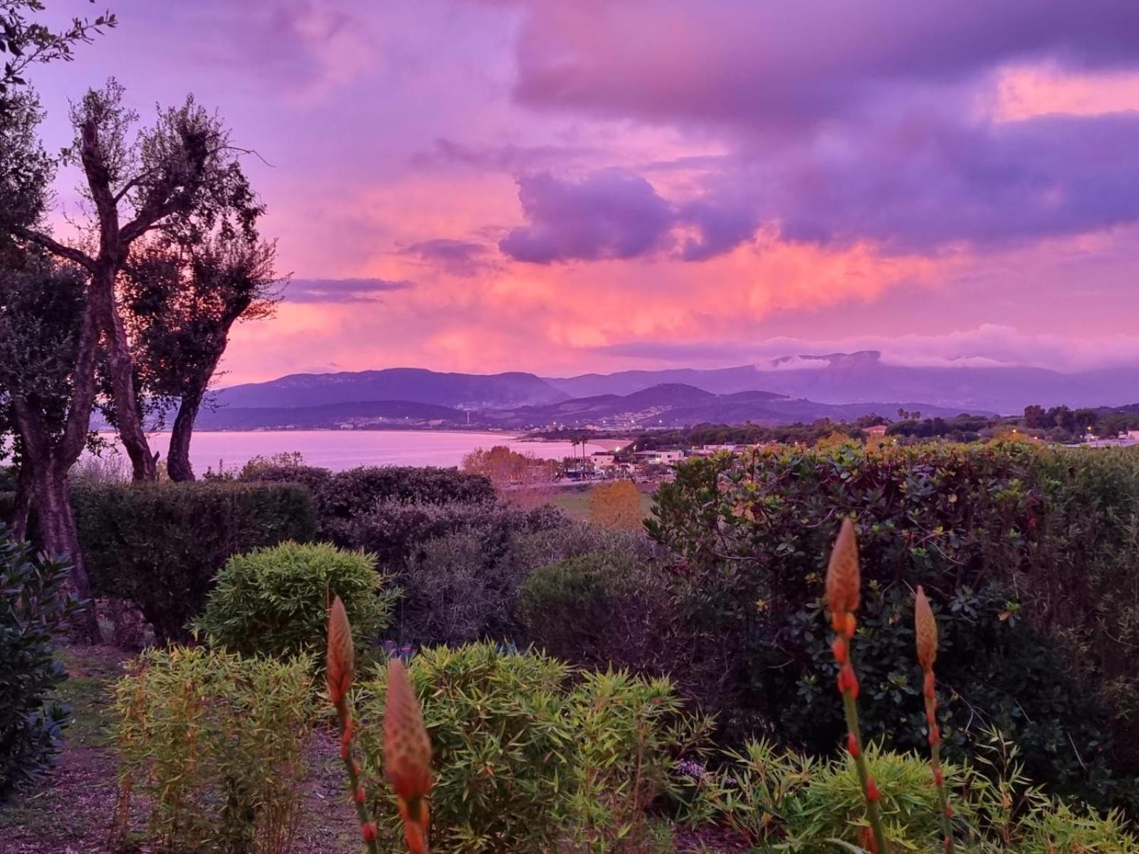 Vista Mare Villa Porticcio  Buitenkant foto